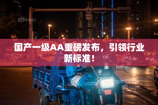 国产一级AA重磅发布，引领行业新标准！