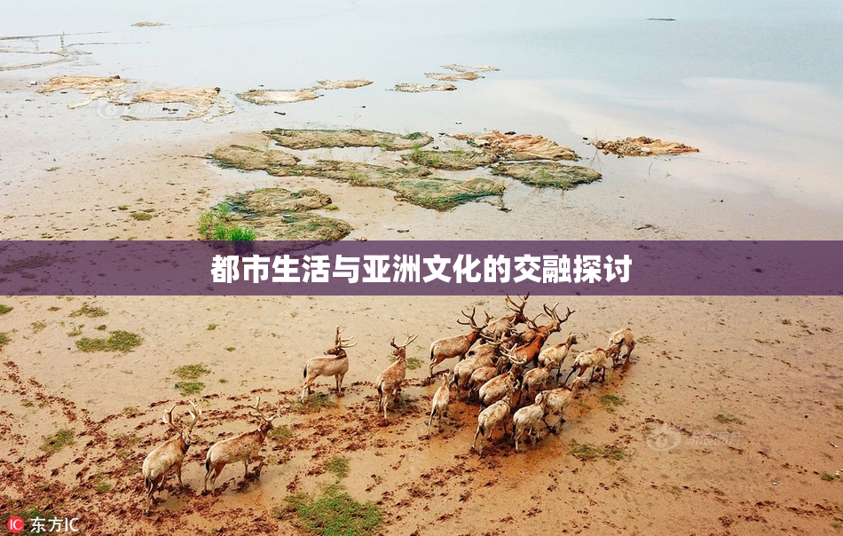 都市生活与亚洲文化的交融探讨