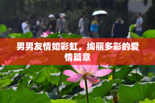 男男友情如彩虹，绚丽多彩的爱情篇章