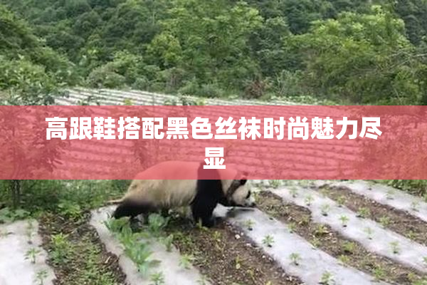 高跟鞋搭配黑色丝袜时尚魅力尽显