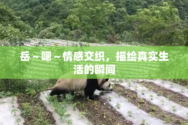 岳～嗯～情感交织，描绘真实生活的瞬间