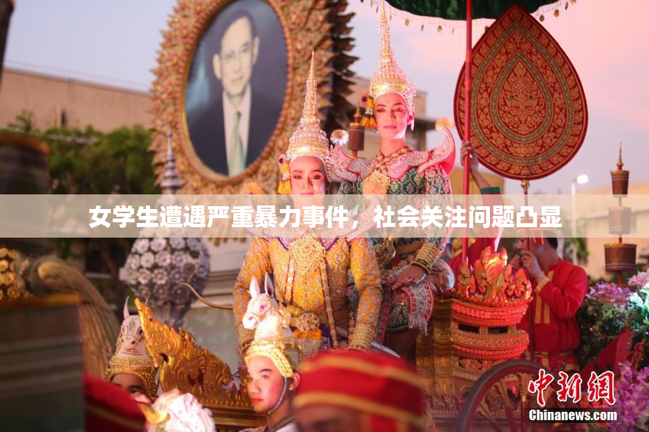 女学生遭遇严重暴力事件，社会关注问题凸显