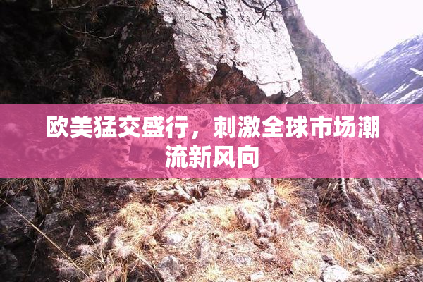 欧美猛交盛行，刺激全球市场潮流新风向
