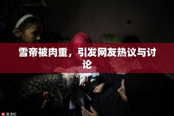 雪帝被肉重，引发网友热议与讨论