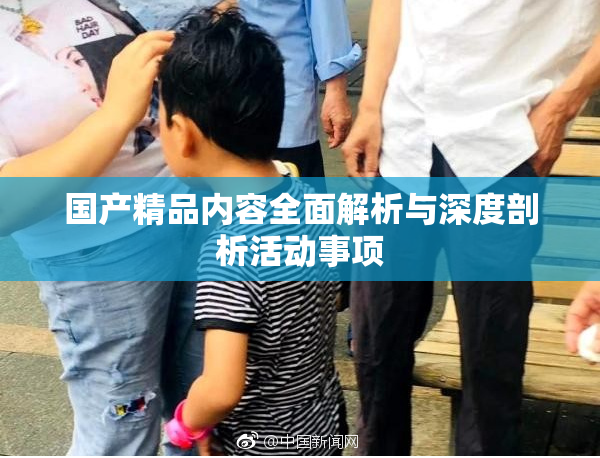 国产精品内容全面解析与深度剖析活动事项