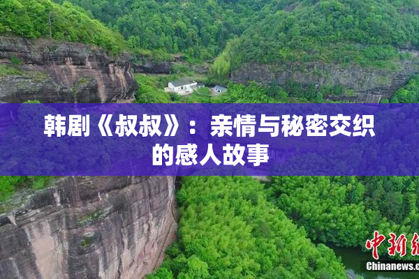 韩剧《叔叔》：亲情与秘密交织的感人故事