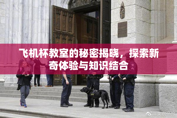 飞机杯教室的秘密揭晓，探索新奇体验与知识结合