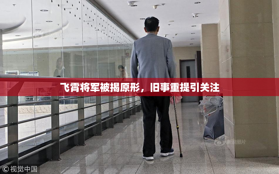 飞霄将军被揭原形，旧事重提引关注