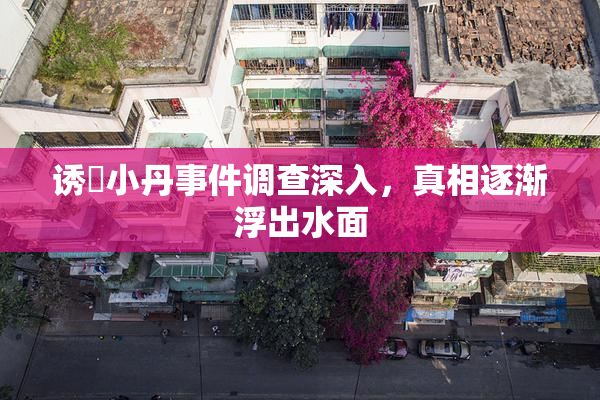诱奷小丹事件调查深入，真相逐渐浮出水面