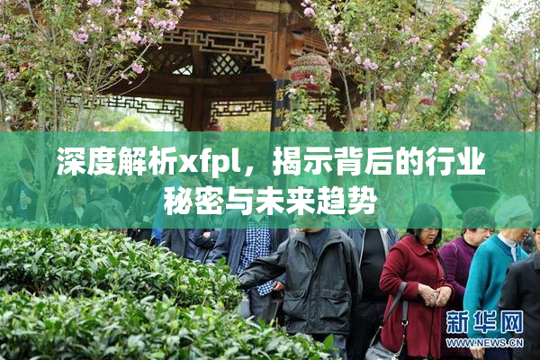 深度解析xfpl，揭示背后的行业秘密与未来趋势