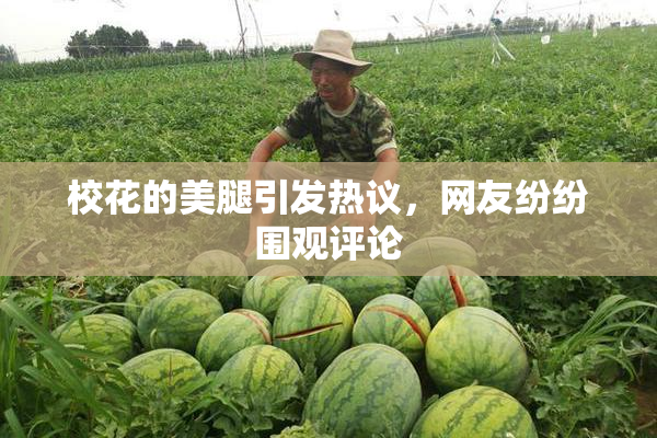 校花的美腿引发热议，网友纷纷围观评论
