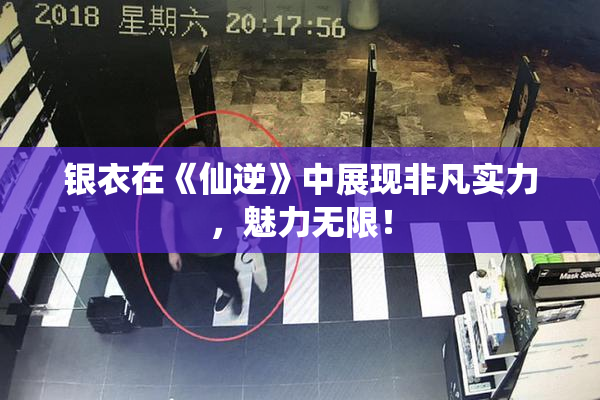 银衣在《仙逆》中展现非凡实力，魅力无限！