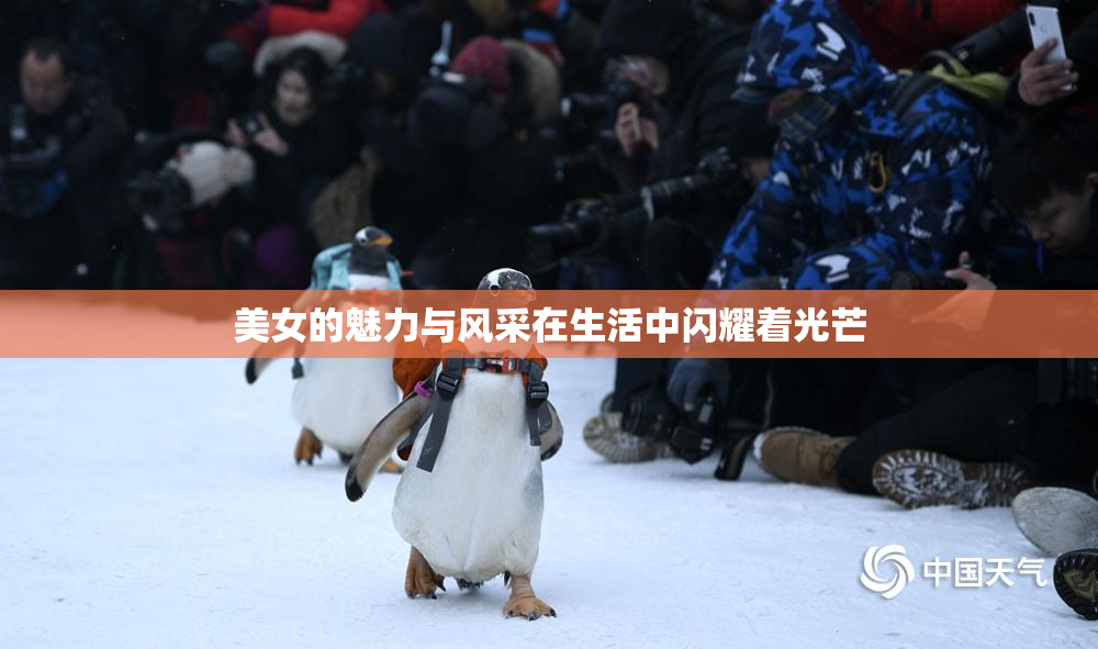 美女的魅力与风采在生活中闪耀着光芒