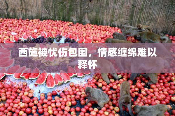 西施被忧伤包围，情感缠绵难以释怀