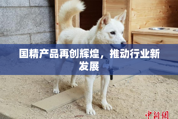 国精产品再创辉煌，推动行业新发展