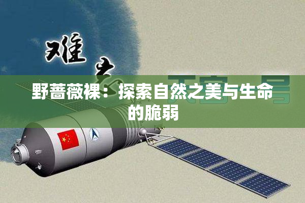 野蔷薇裸：探索自然之美与生命的脆弱