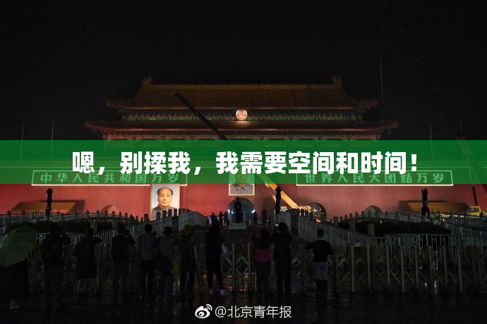 嗯，别揉我，我需要空间和时间！