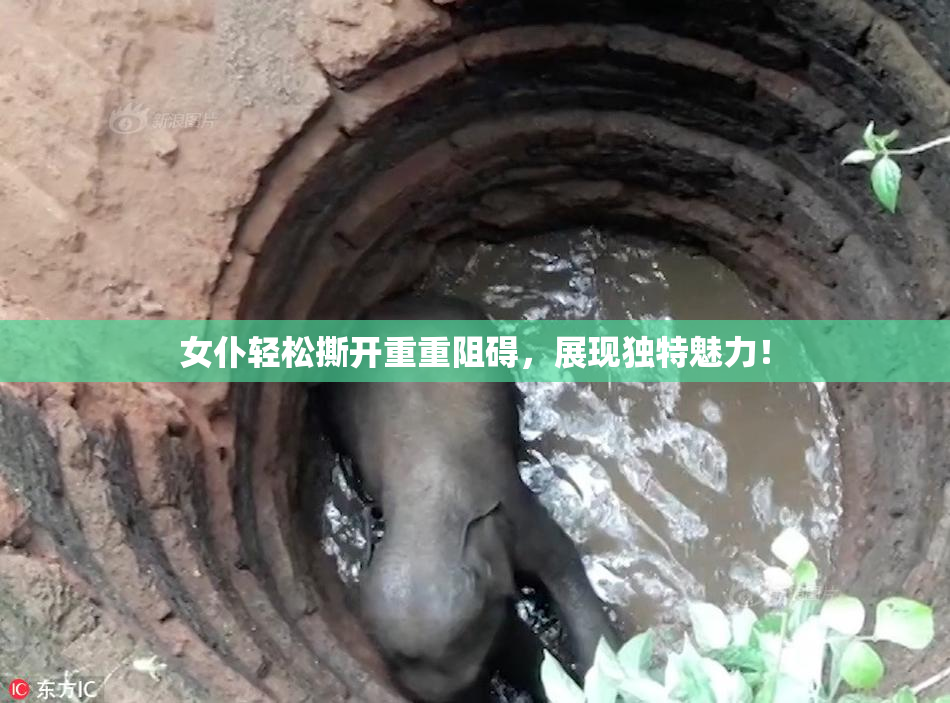 女仆轻松撕开重重阻碍，展现独特魅力！