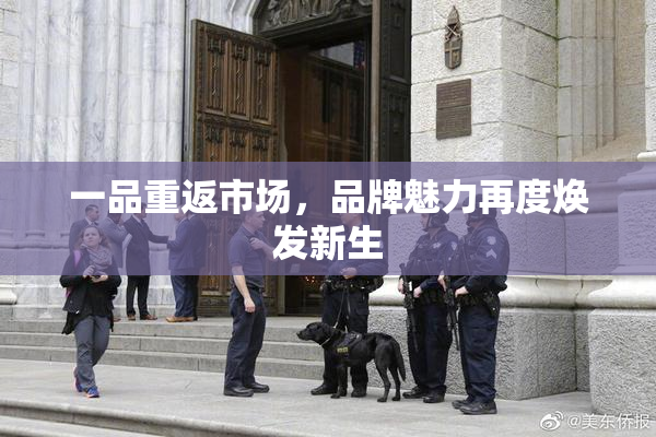 一品重返市场，品牌魅力再度焕发新生