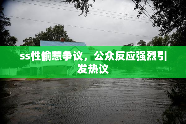 ss性偷惹争议，公众反应强烈引发热议