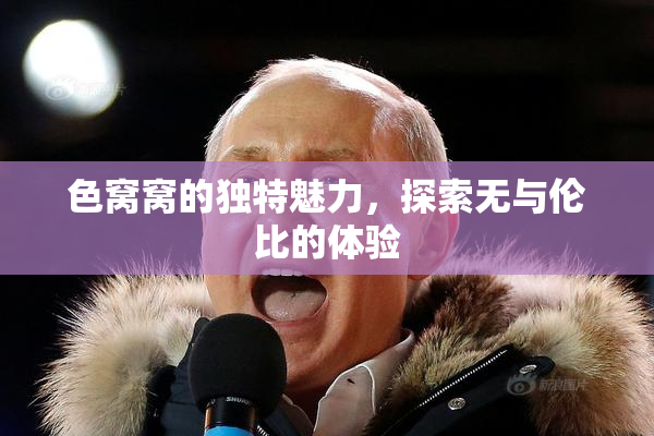 色窝窝的独特魅力，探索无与伦比的体验