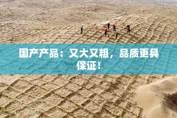 国产产品：又大又粗，品质更具保证！