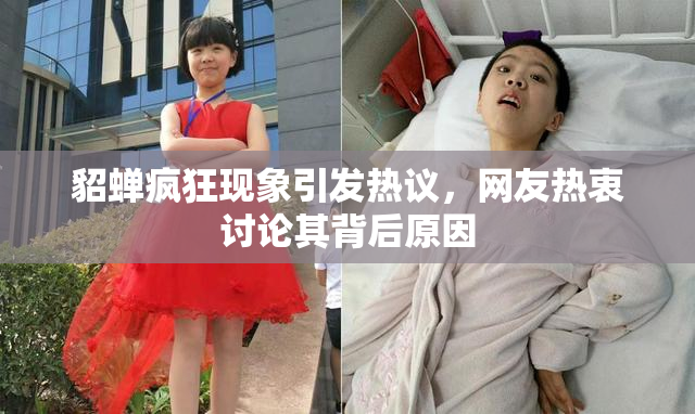 貂蝉疯狂现象引发热议，网友热衷讨论其背后原因