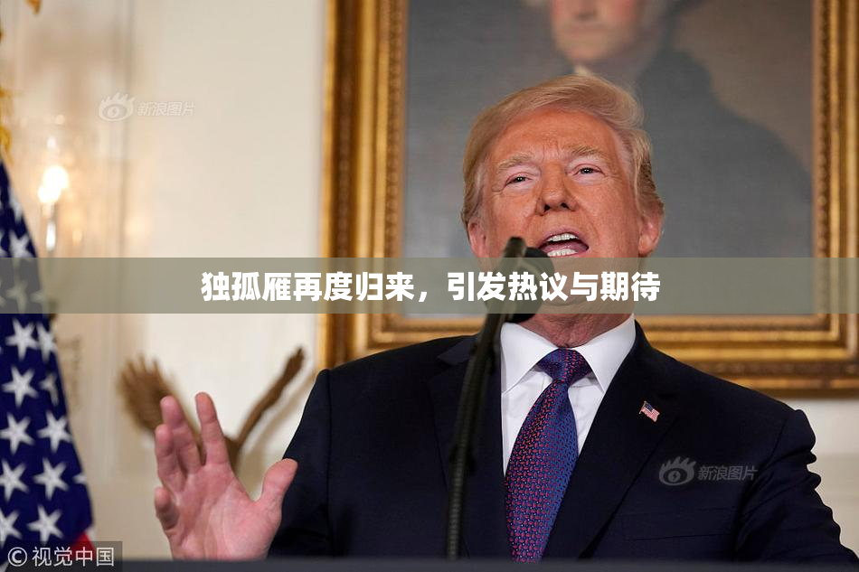 独孤雁再度归来，引发热议与期待