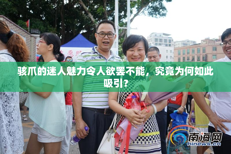 骇爪的迷人魅力令人欲罢不能，究竟为何如此吸引？