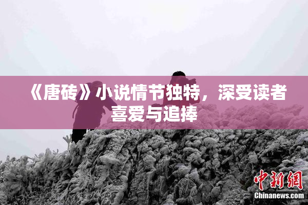 《唐砖》小说情节独特，深受读者喜爱与追捧