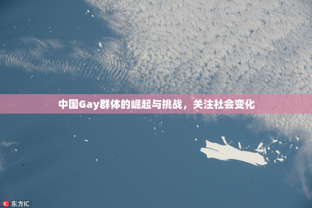 中国Gay群体的崛起与挑战，关注社会变化