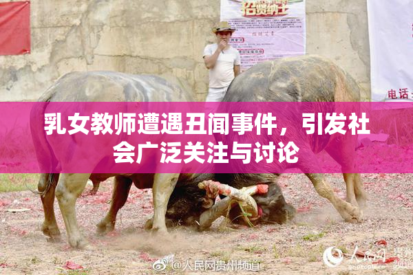 乳女教师遭遇丑闻事件，引发社会广泛关注与讨论