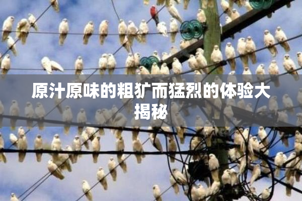原汁原味的粗犷而猛烈的体验大揭秘