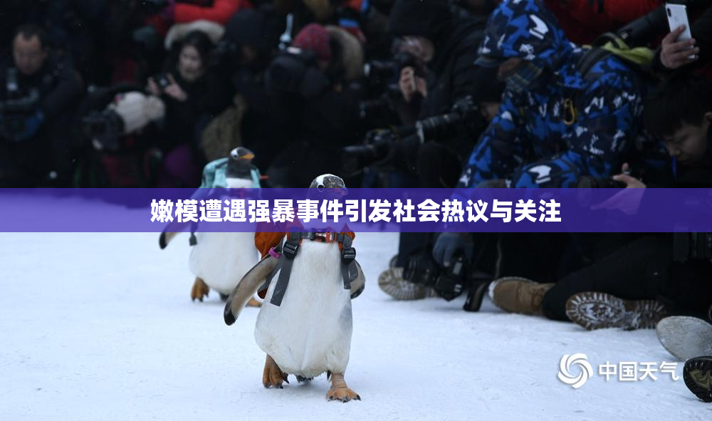 嫩模遭遇强暴事件引发社会热议与关注