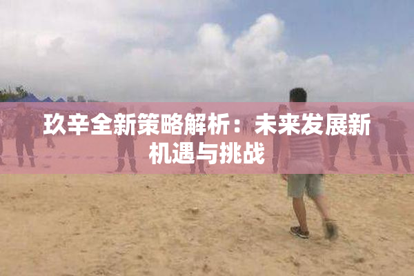 玖辛全新策略解析：未来发展新机遇与挑战