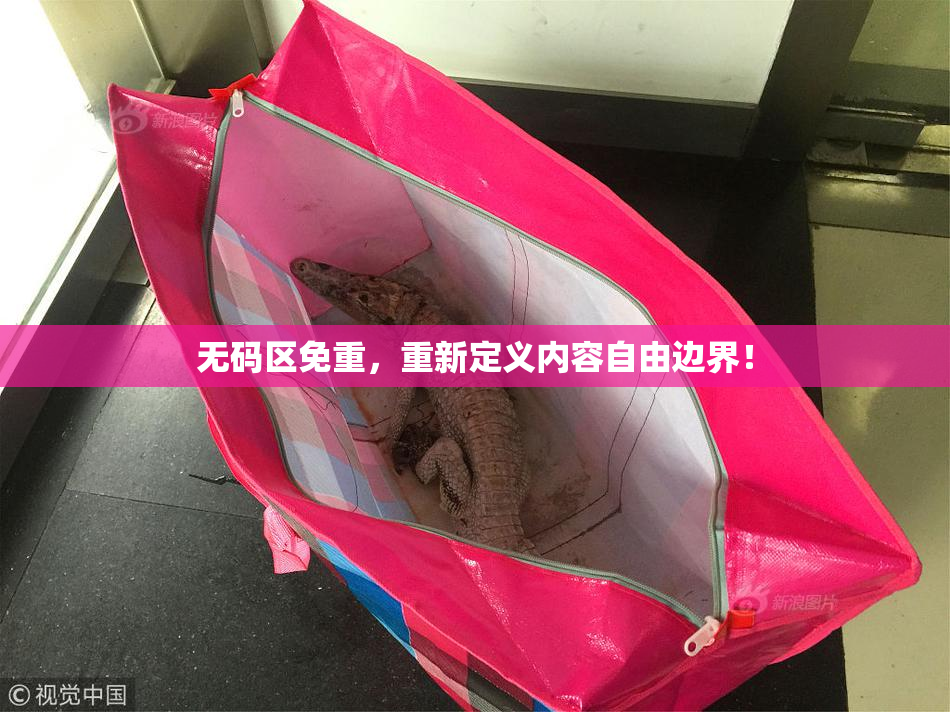 无码区免重，重新定义内容自由边界！