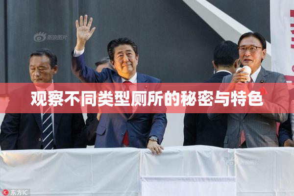 观察不同类型厕所的秘密与特色