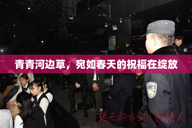 青青河边草，宛如春天的祝福在绽放