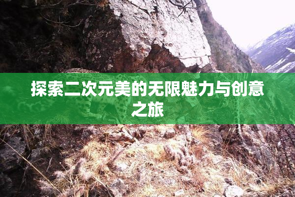 探索二次元美的无限魅力与创意之旅