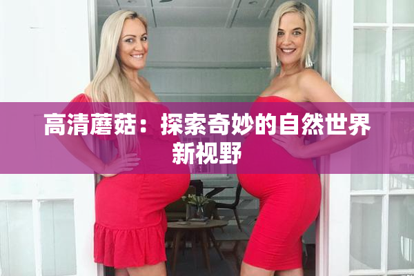 高清蘑菇：探索奇妙的自然世界新视野
