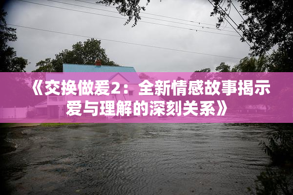 《交换做爰2：全新情感故事揭示爱与理解的深刻关系》