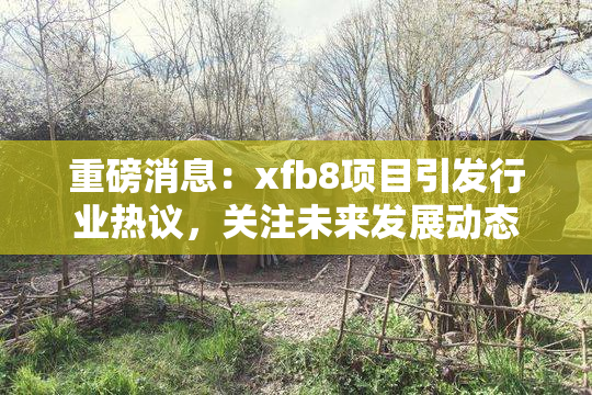 重磅消息：xfb8项目引发行业热议，关注未来发展动态