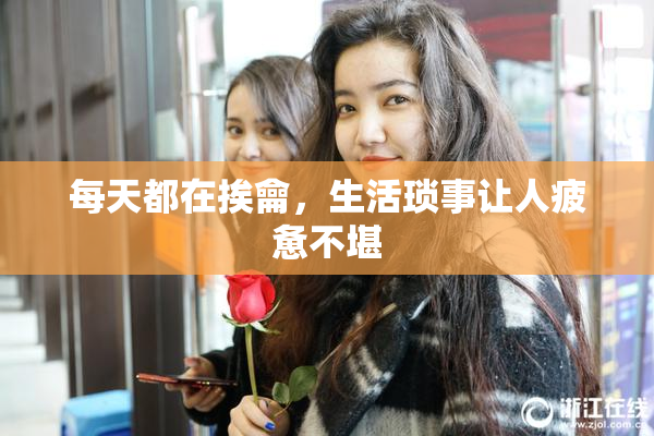 每天都在挨龠，生活琐事让人疲惫不堪