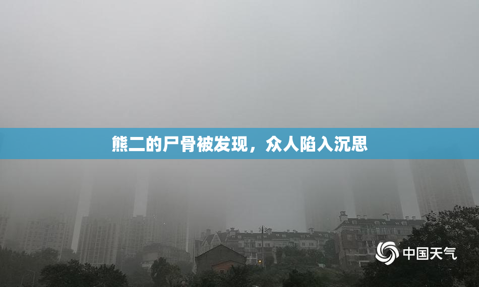 熊二的尸骨被发现，众人陷入沉思