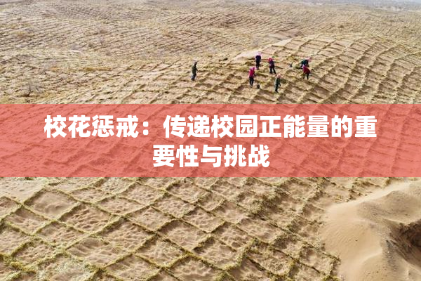 校花惩戒：传递校园正能量的重要性与挑战