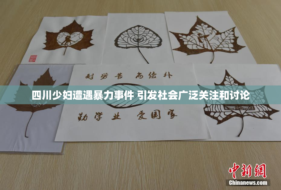 四川少妇遭遇暴力事件 引发社会广泛关注和讨论