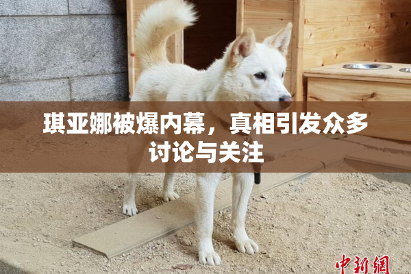 琪亚娜被爆内幕，真相引发众多讨论与关注