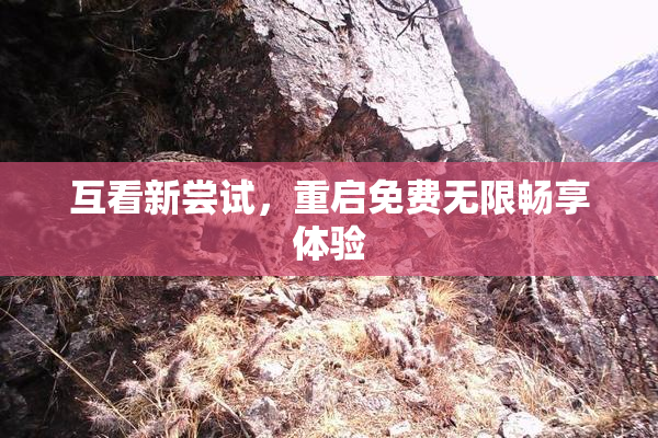 互看新尝试，重启免费无限畅享体验