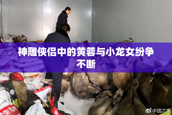 神雕侠侣中的黄蓉与小龙女纷争不断