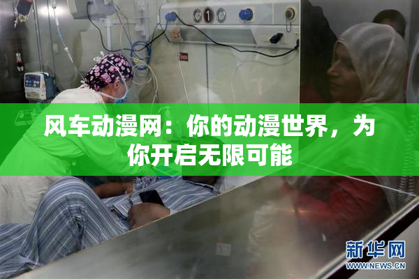 风车动漫网：你的动漫世界，为你开启无限可能